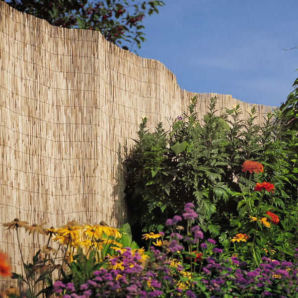Reed Fences