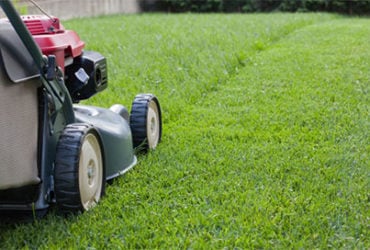 Ground Care
