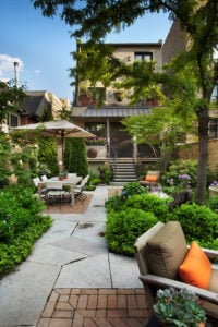 Spring & Fall Cleanup