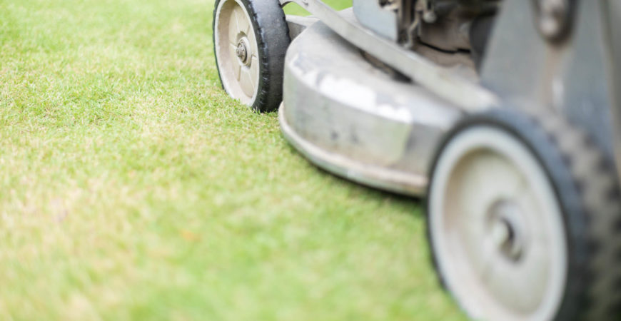 Ground Care