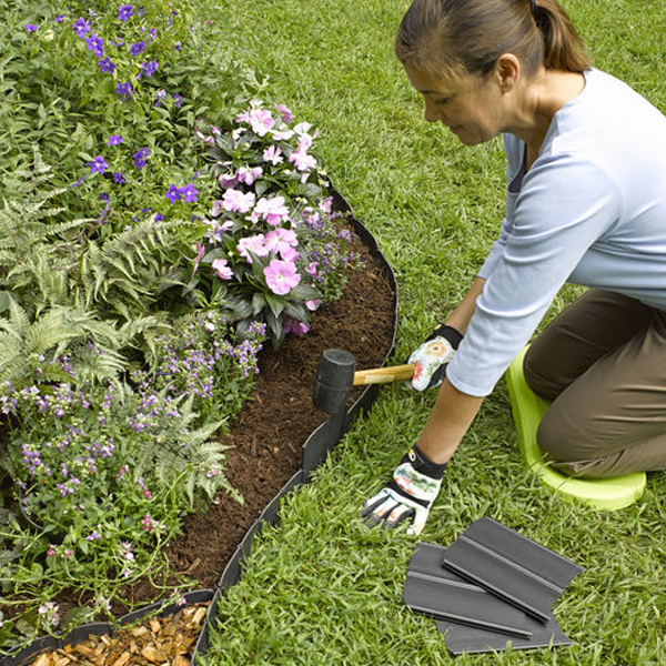 Floating Fish Dome - Image 3