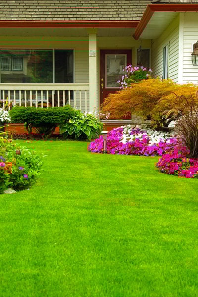 Walkout garden