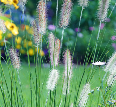 The Landscape Show 2016, London