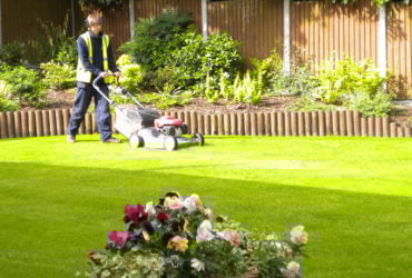 Ground Care